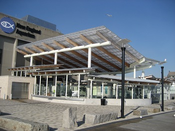 New England Aquarium